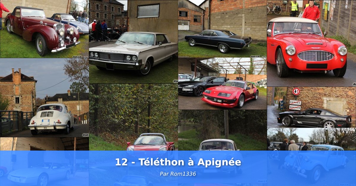 12 - Téléthon à Apignée - Galerie de Rom1336