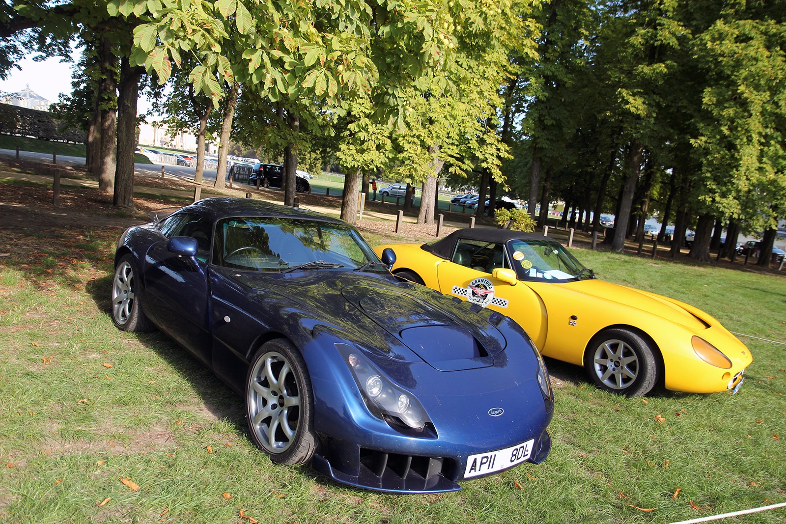 TVR Sagaris - 09 - Chantilly Arts & Elegance Richard Millle - Galerie de Rom1336