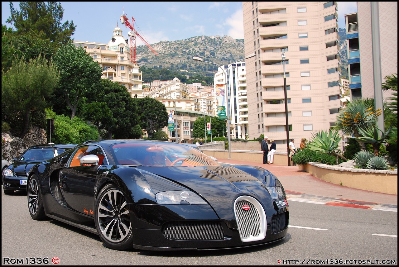 Bugatti Veyron Sang Noir - 04 - Top Marques Monaco - Galerie de Rom1336