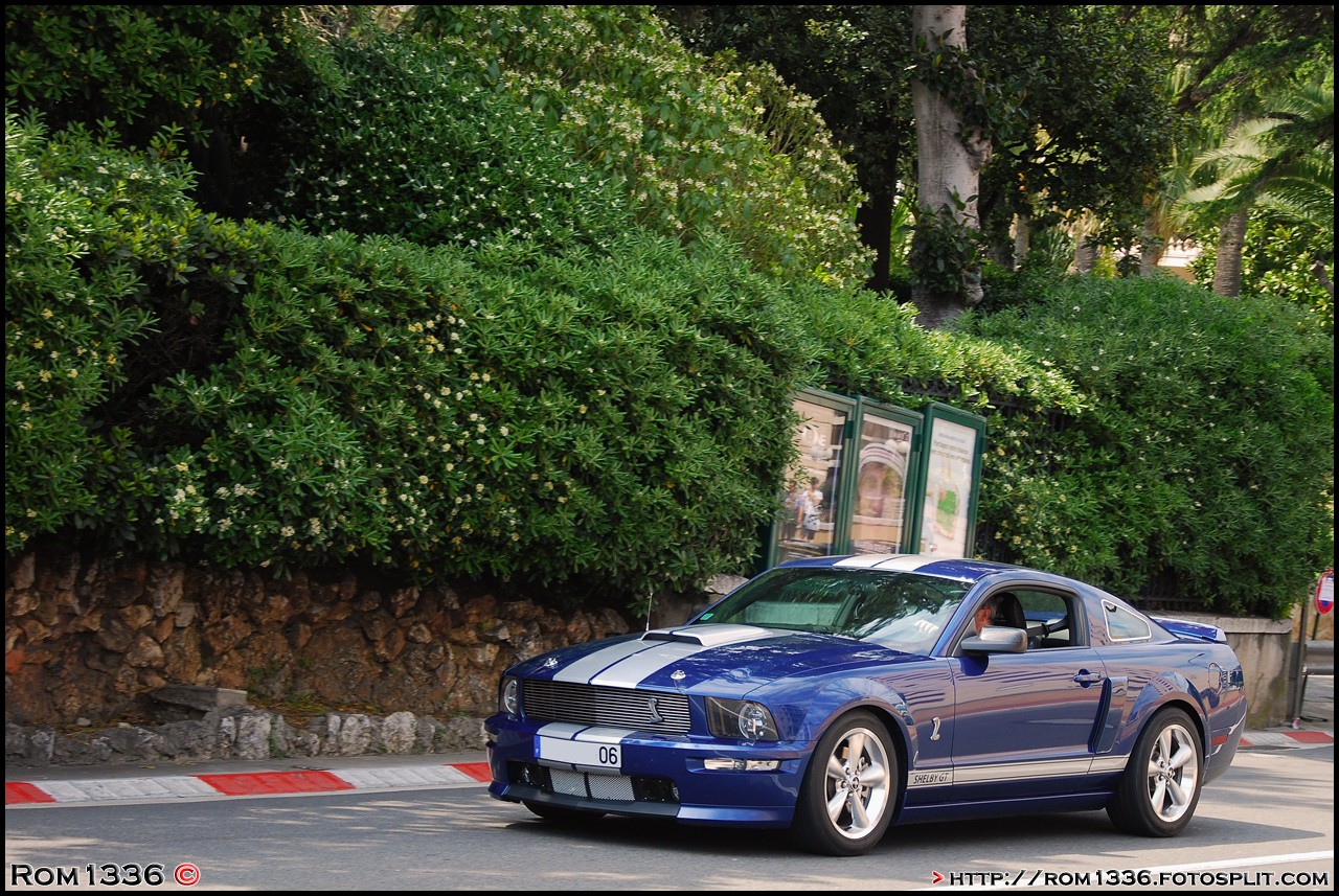 Shelby GT 500 - 04 - Top Marques Monaco - Galerie de Rom1336
