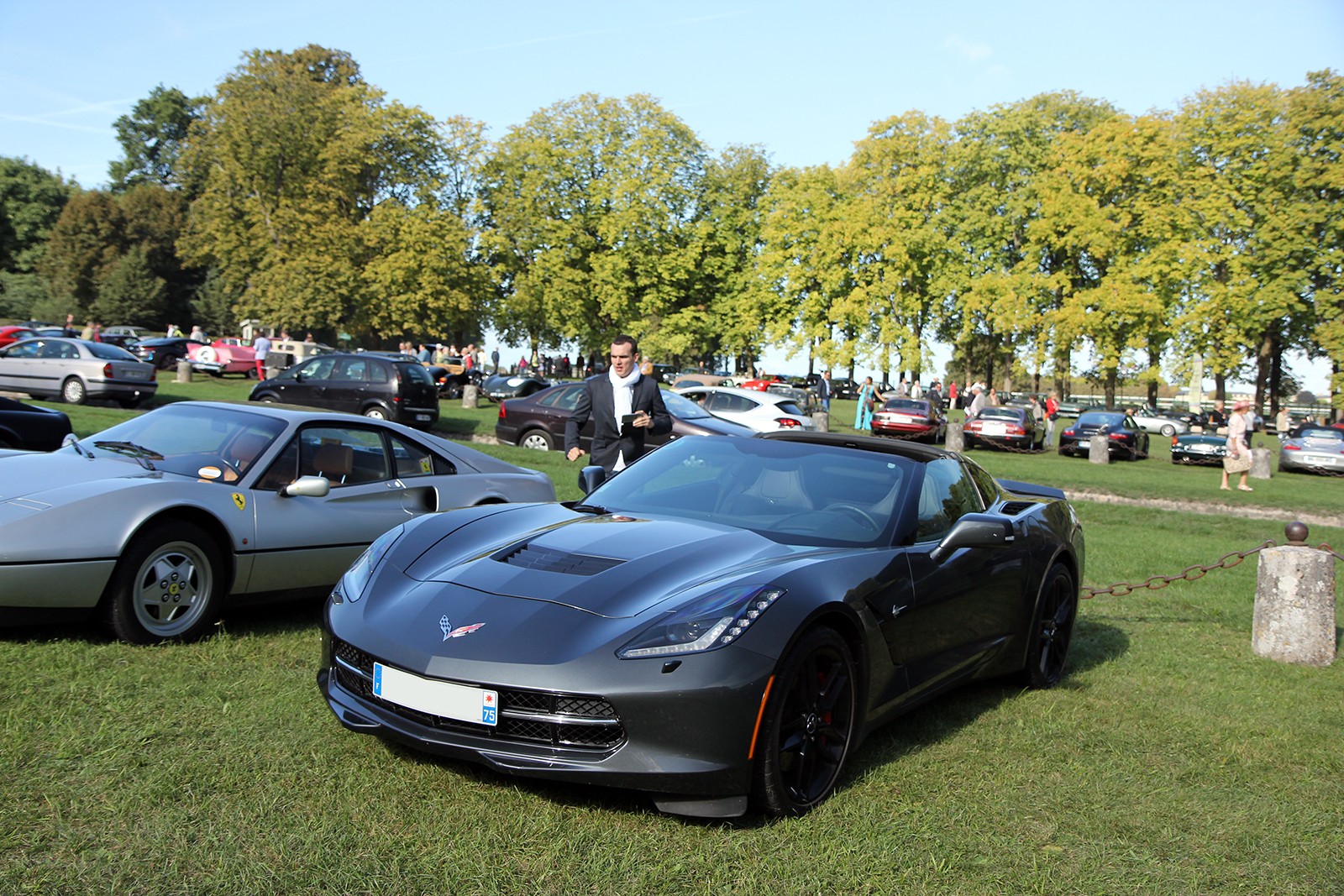Corvette C7 - 09 - Chantilly Arts & Elegance Richard Millle - Galerie de Rom1336