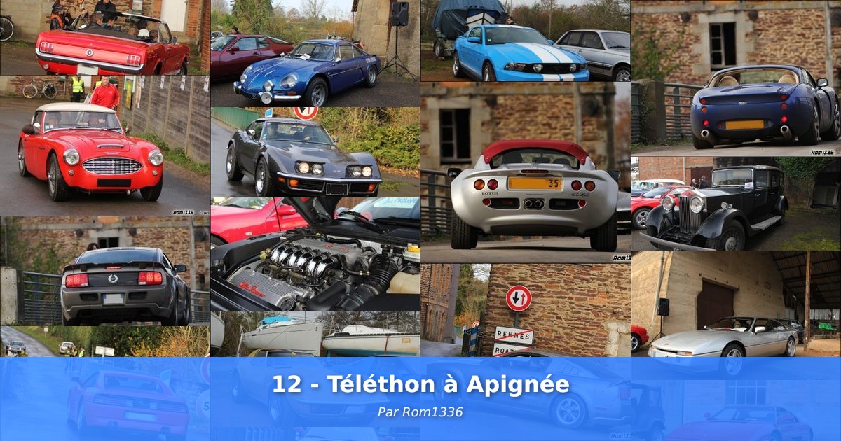 12 - Téléthon à Apignée - Galerie de Rom1336